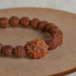 Two Mukhi Rudraksh Bracelet