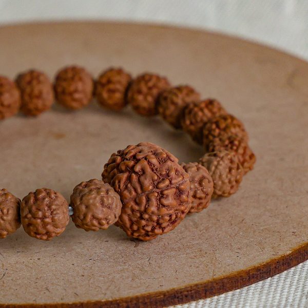 Nine Mukhi Rudraksh Bracelet