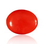 Red Coral (Moonga)