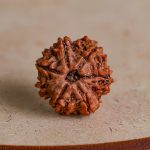 Six Mukhi Rudraksha - Image 2